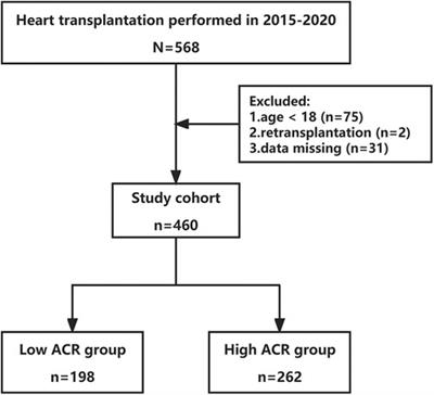 Elevated serum albumin-to-creatinine ratio as a protective factor on outcomes after heart transplantation